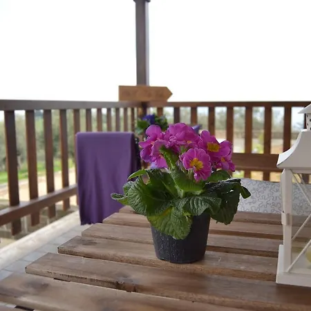 B&B Villa Vale Spoltore